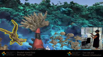 Coral Reef Restoration Planning and Visualization Coral Reef Restoration Planning and Visualization