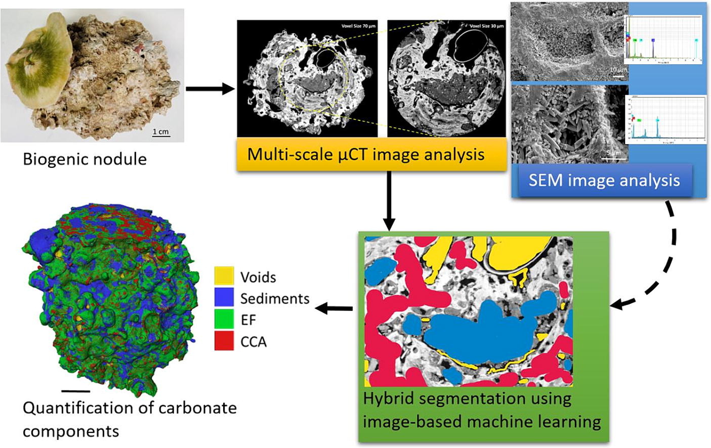 carbonates_gf.jpg