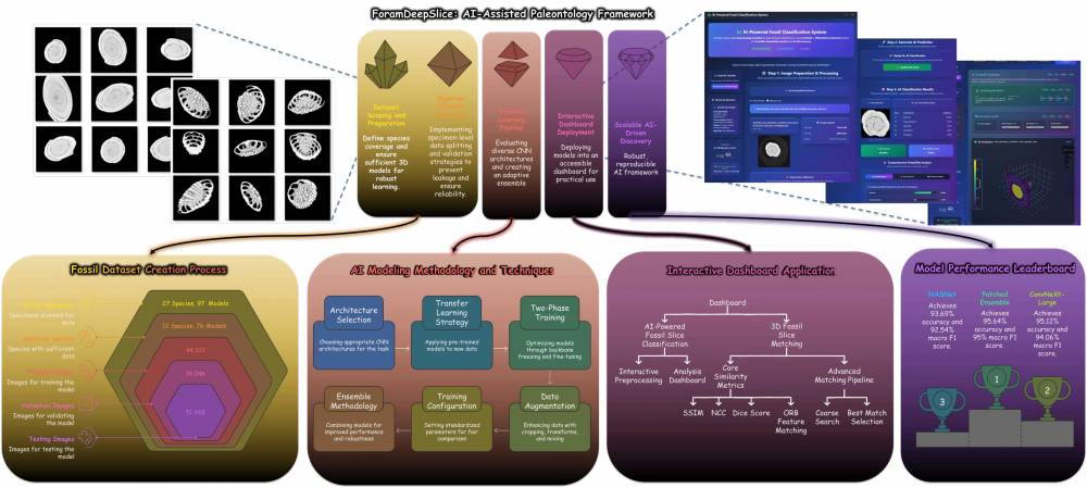 foramdeepslice_workflow_v1.jpg foramdeepslice_workflow_v1.jpg