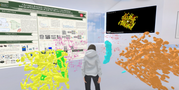 Stepping Inside 3D Brain Data using Virtual Reality Stepping Inside 3D Brain Data using Virtual Reality